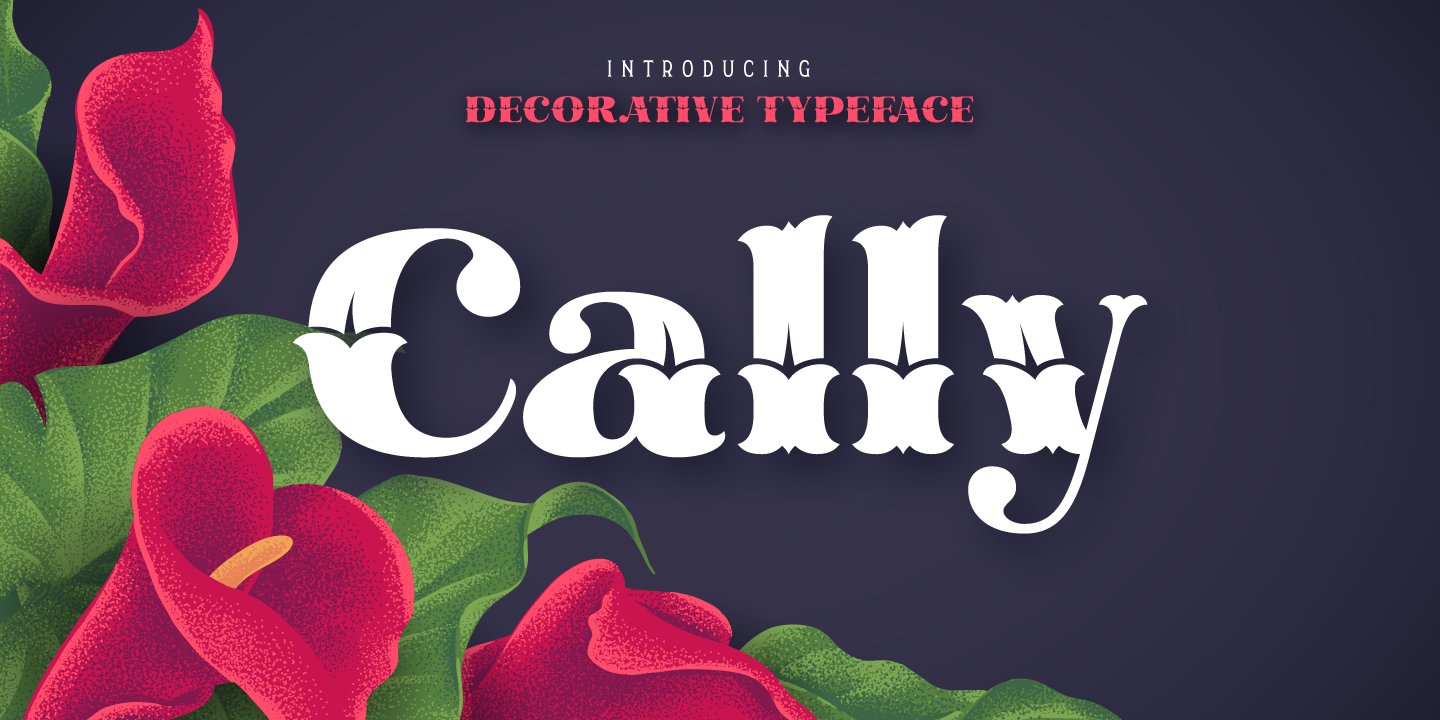Cally Bold Font preview